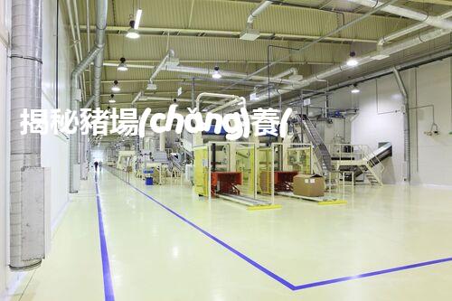 揭秘豬場(chǎng)養(yǎng)殖廢水處理工藝的以后之路？探索新技術(shù)與環(huán)保的完滿結(jié)合！